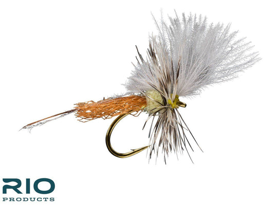 RIO Extendo PMD fly for Pale Morning Dun hatches