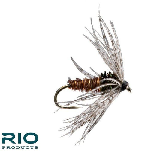 RIO Partridge Soft Hackle - Pheasant Tail