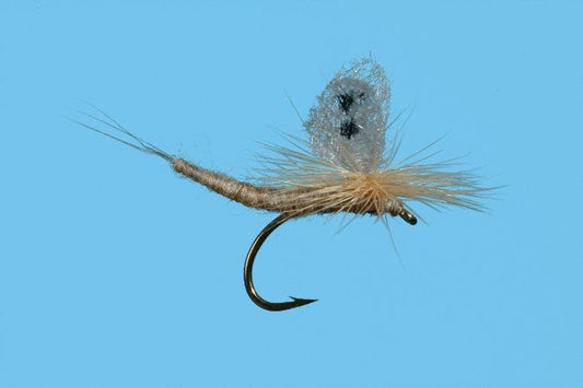 March Brown Extended Body