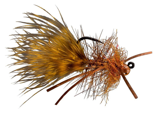 RIO's Gold Jigger RL- Brown