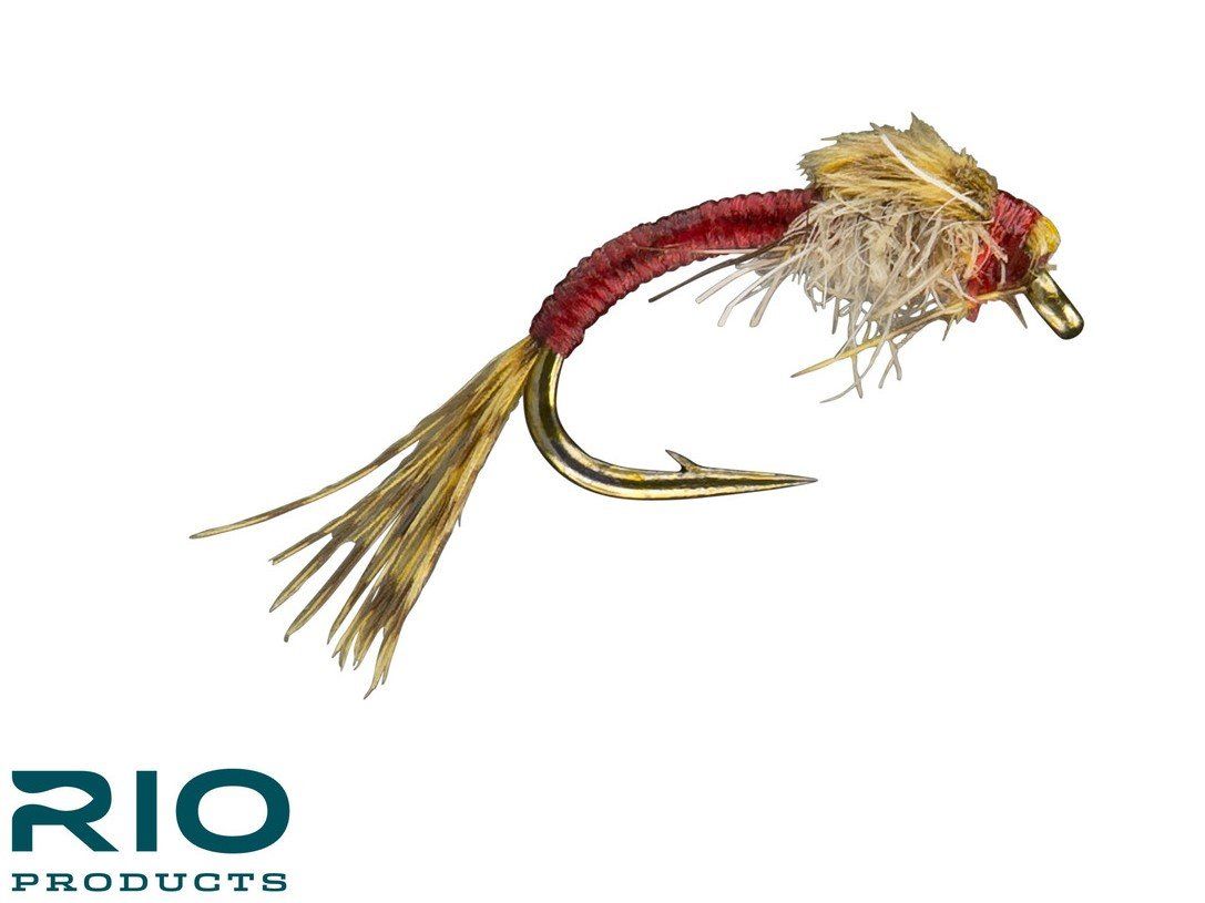 RIO WD 40 - Red