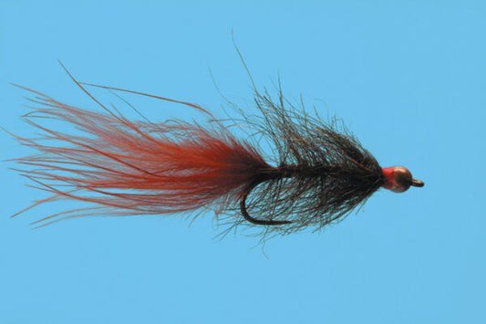 Hale Bopp Leech Bead Head - Brown