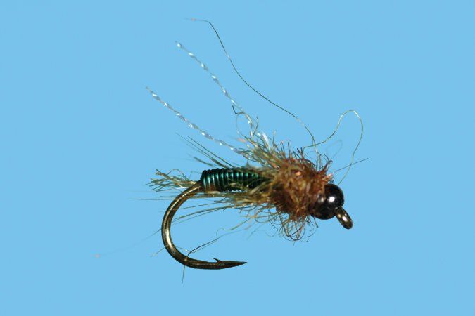 Solitude BH Deep Six Caddis Pupa - Olive