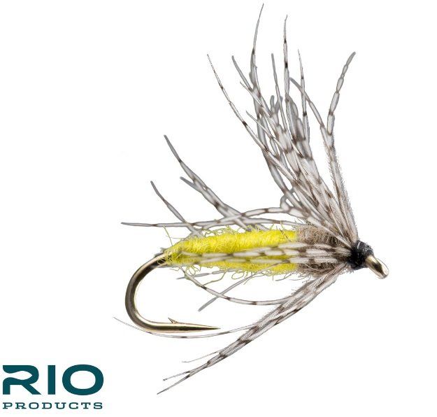 RIO Partridge Soft Hackle - PMD Yellow