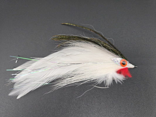 Big Eye Baitfish - Herring