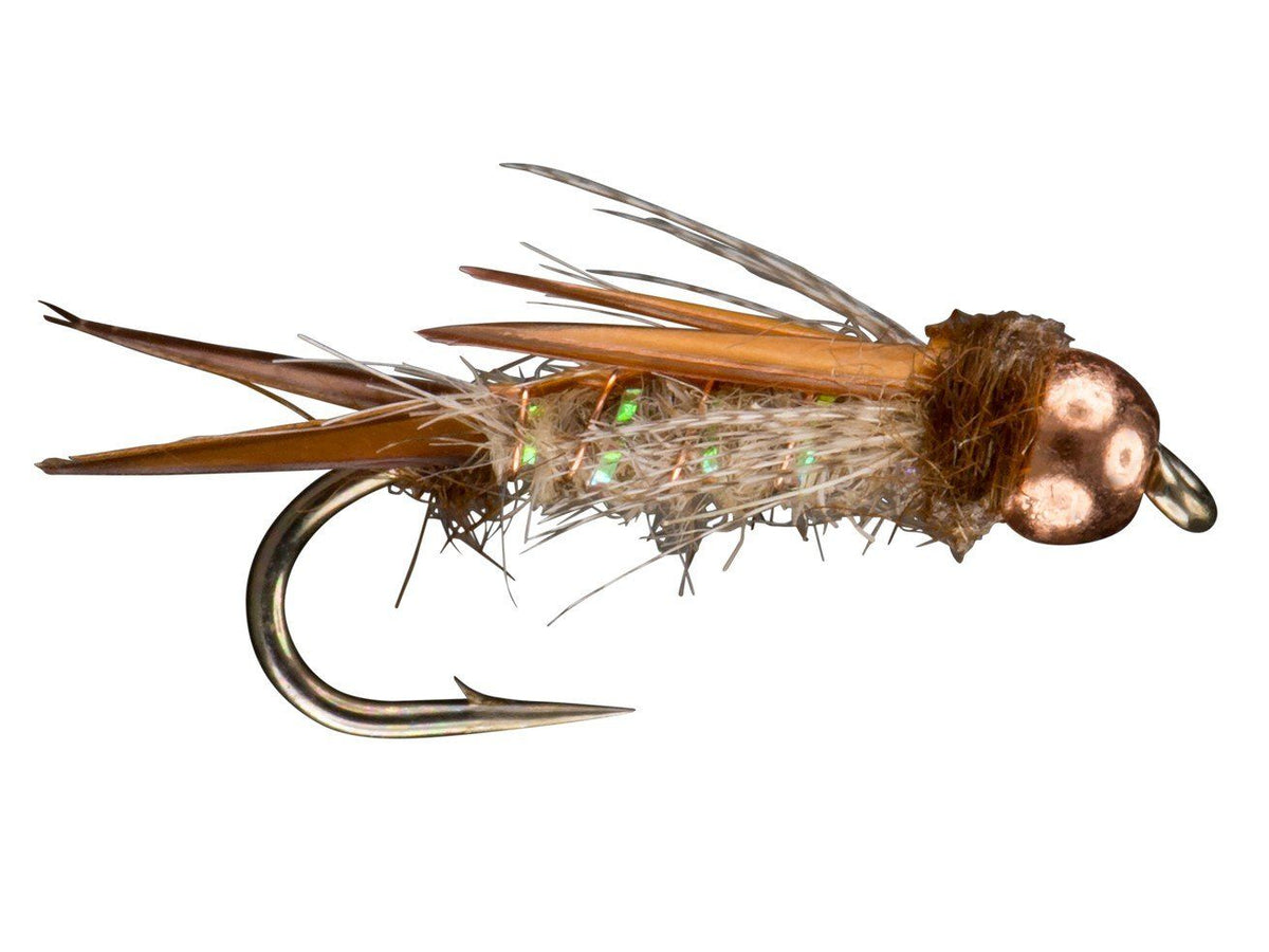 Hogan's Amber Wing Dictator - Natural