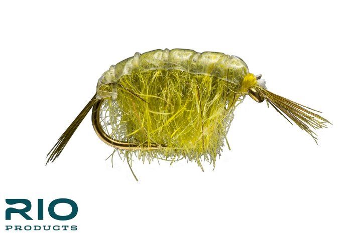 RIO Scud - Light Olive