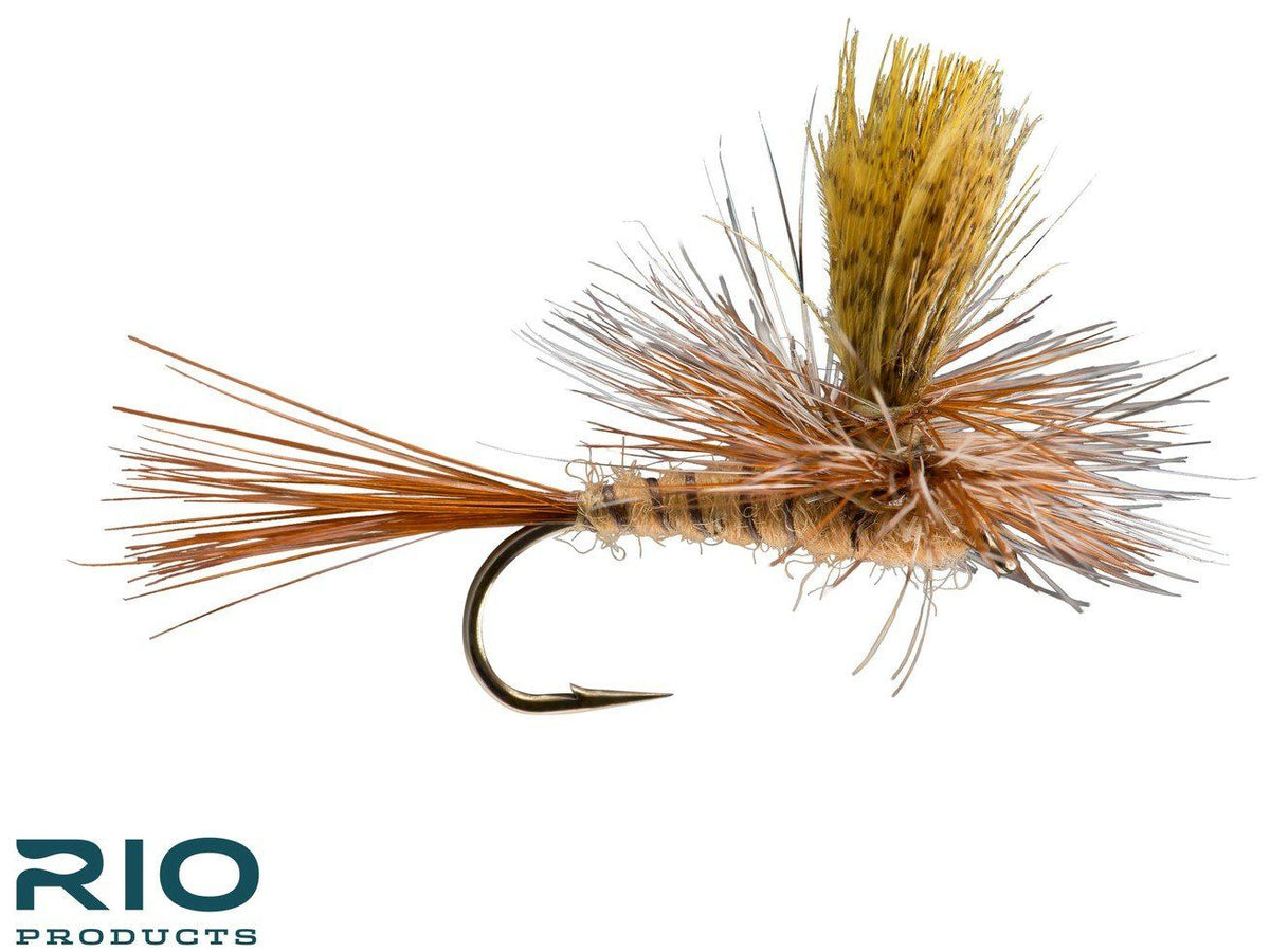 RIO Parachute Brown