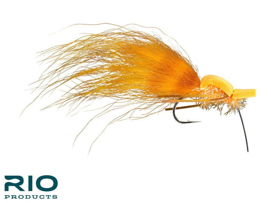 Gurgler Alarm - Sunburst