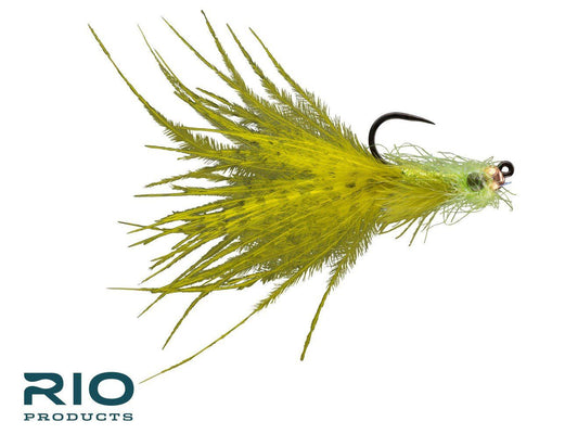 RIO's Buttercup TB - Olive