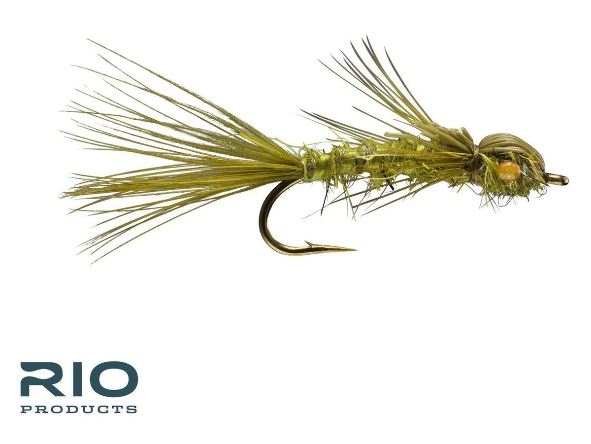 RIO Dainty Damsel - Olive