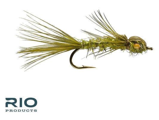 RIO Dainty Damsel - Olive