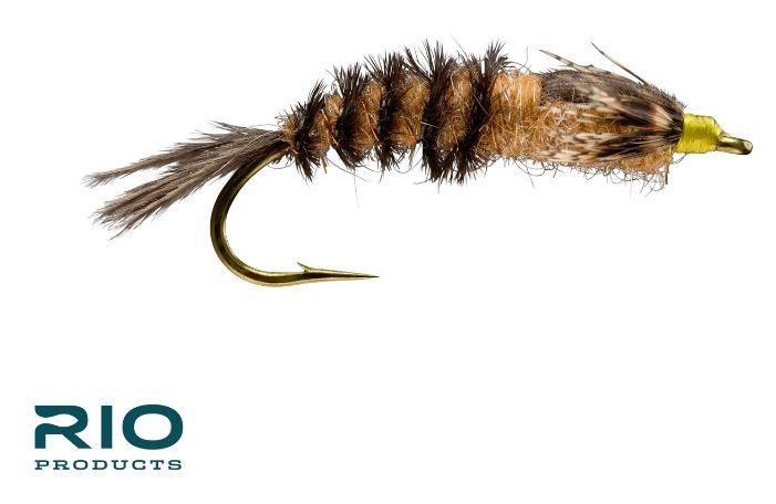 Hexagenia Nymph