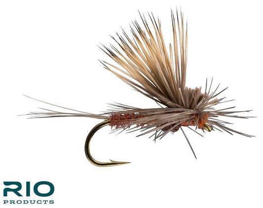 RIO Tilt Wing Dun Mahogany