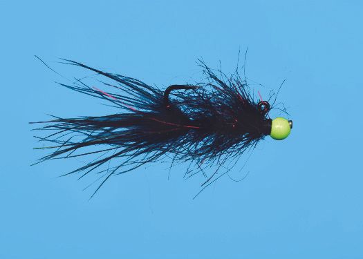 Solitude Balance Leech - Black