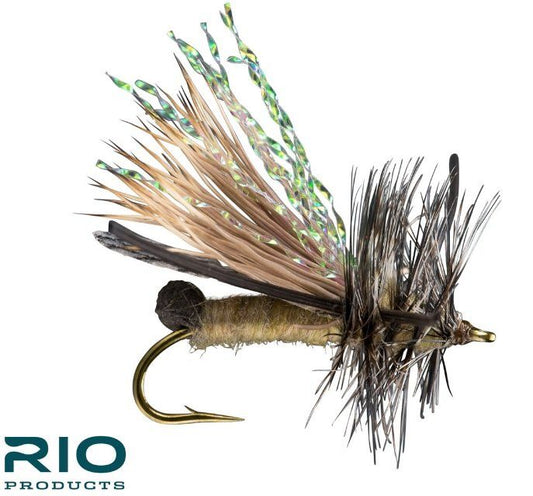 RIO Skwala