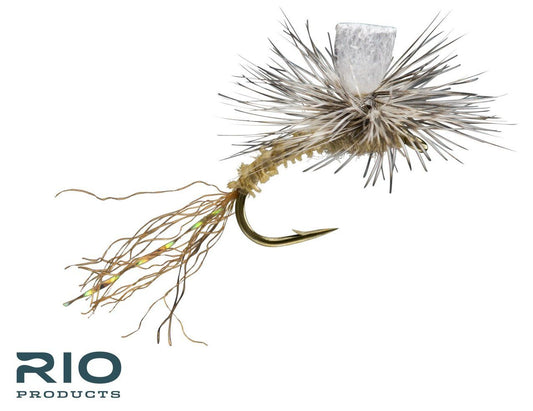 RIO's Almost Dun - Callibaetis