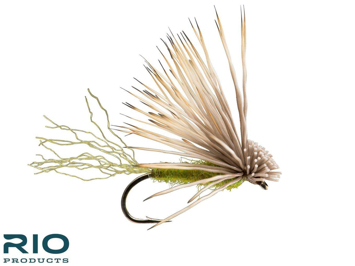 RIO X-Caddis - Olive #16