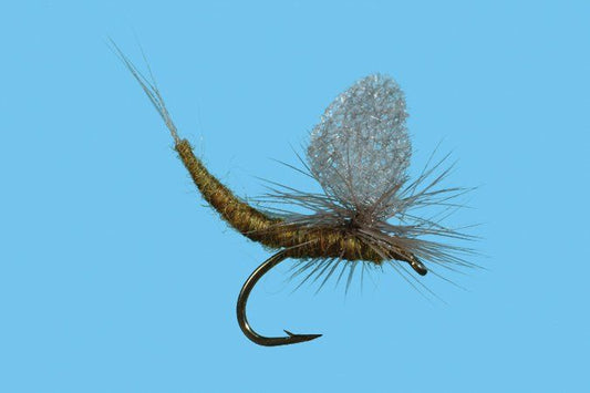 Blue Wing Olive
