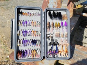 GFS Kit - Summer Steelhead Dry Line Selection