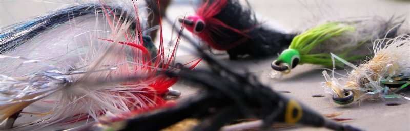 Fly Fishing Flies For Salmon, Bass, Trout, Steelhead & More